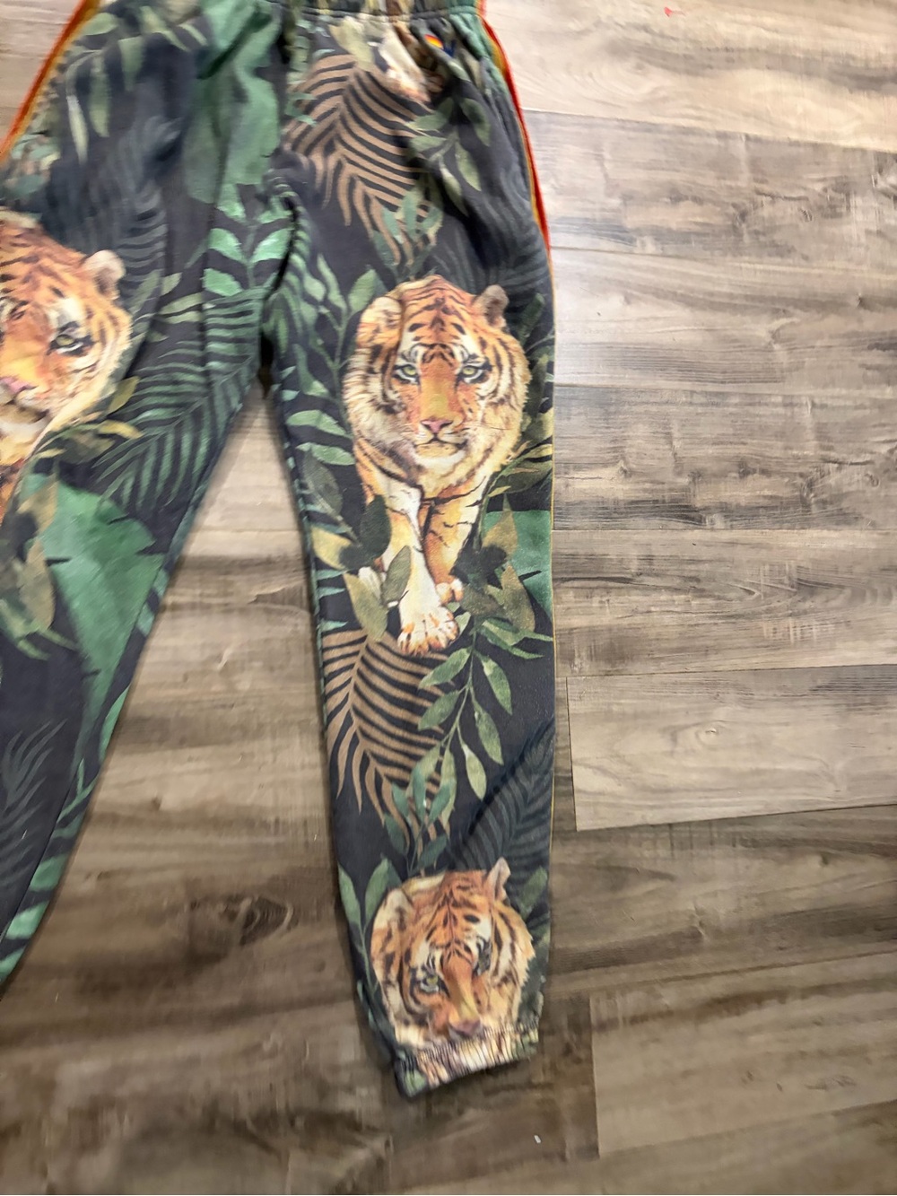 Aviator Nation Velvet Tiger Jungle Rainbow Stripe Jogger Sweatpants Super Rare - Picture 6 of 12